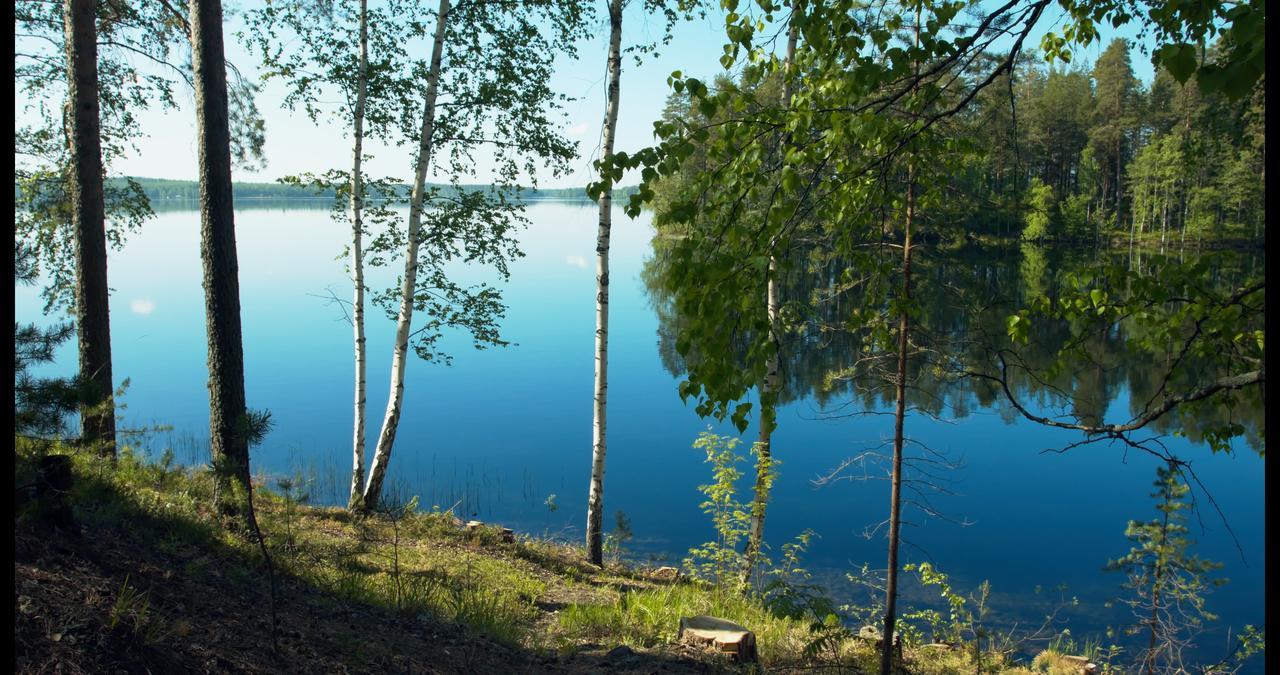 Hotel Kruunupuisto Пункагар'ю Екстер'єр фото
